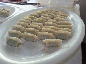 Freshly wrapped dumplings